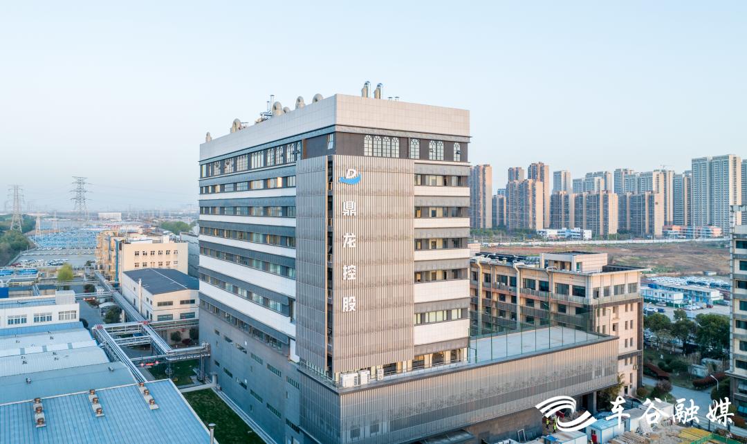 鼎龙控股半导体,鼎龙控股核心价值