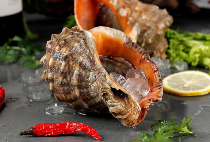 海螺怎么打开才好吃,海螺的烹煮方法