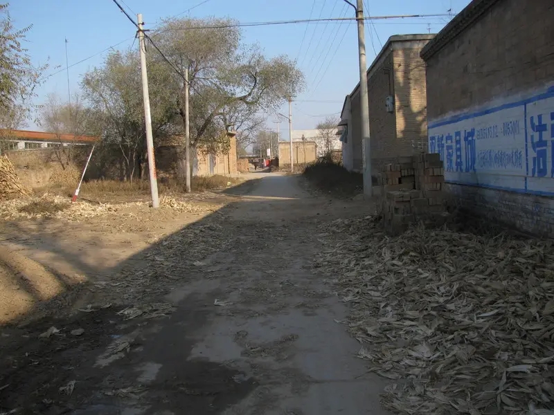 阿凡达当年在中国的火爆场面,阿凡达当年的火爆盛况