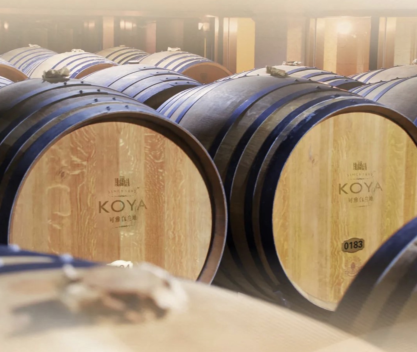 鍙泤,鍙泤缈诲敱