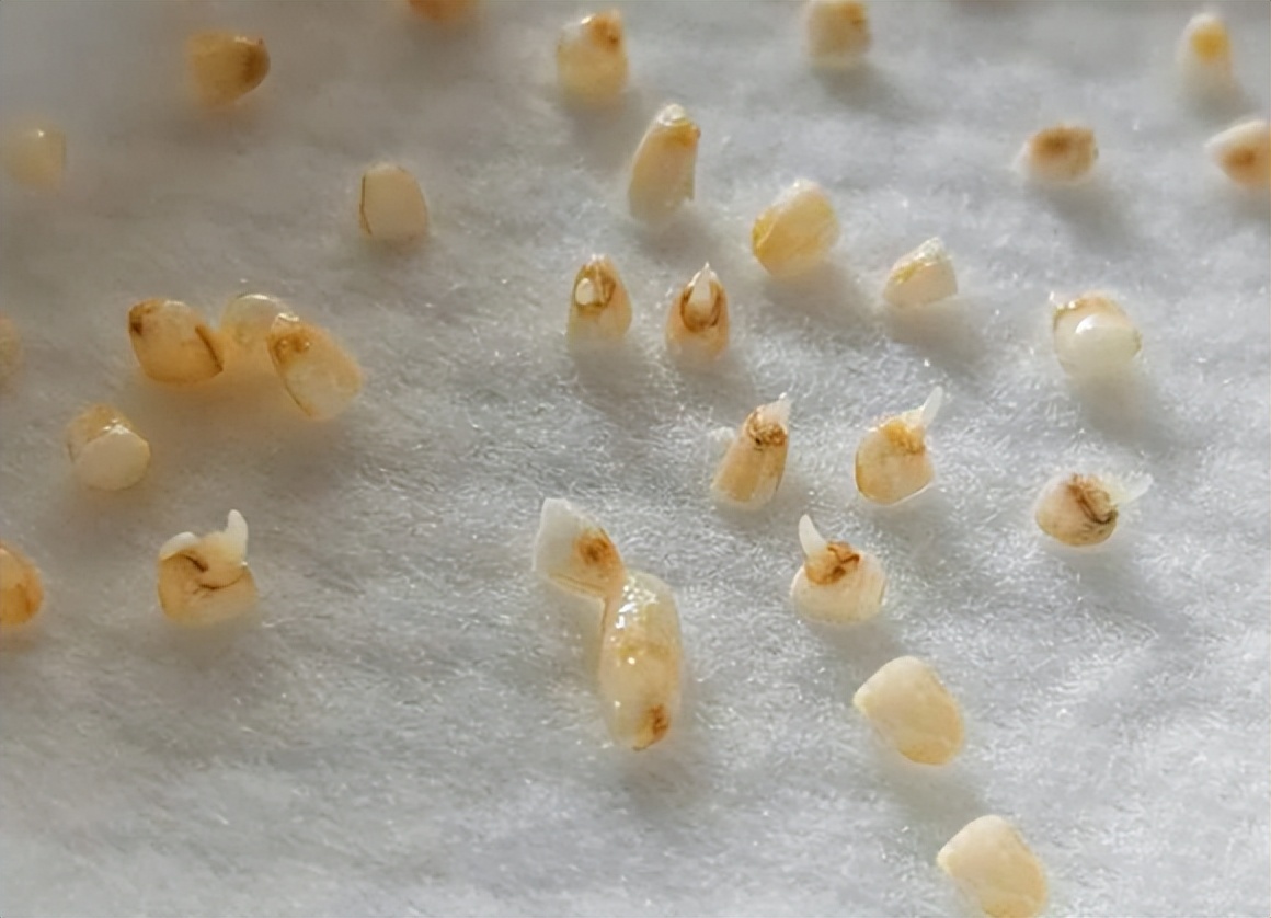 创业小本生意赚钱好项目,创业项目最新思路赚钱最多