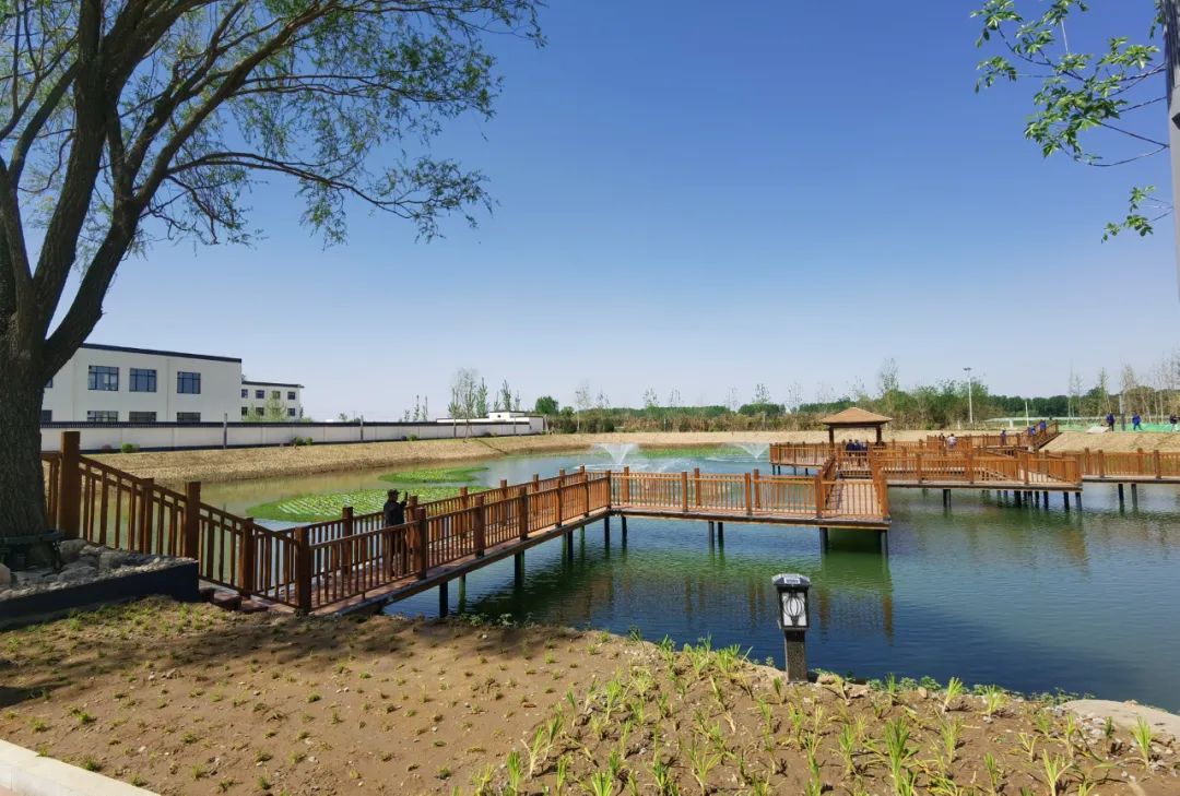 休闲农业与乡村旅游项目分析,休闲农业与乡村旅游什么时候开始