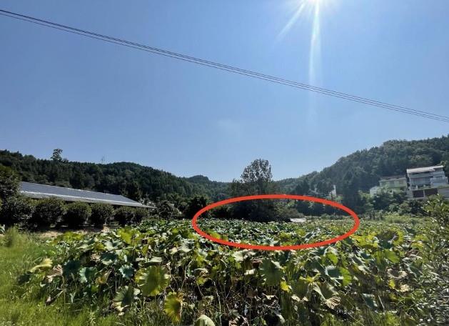 四川阆中金喜珠宝,阆中市金喜珠宝加工厂事件