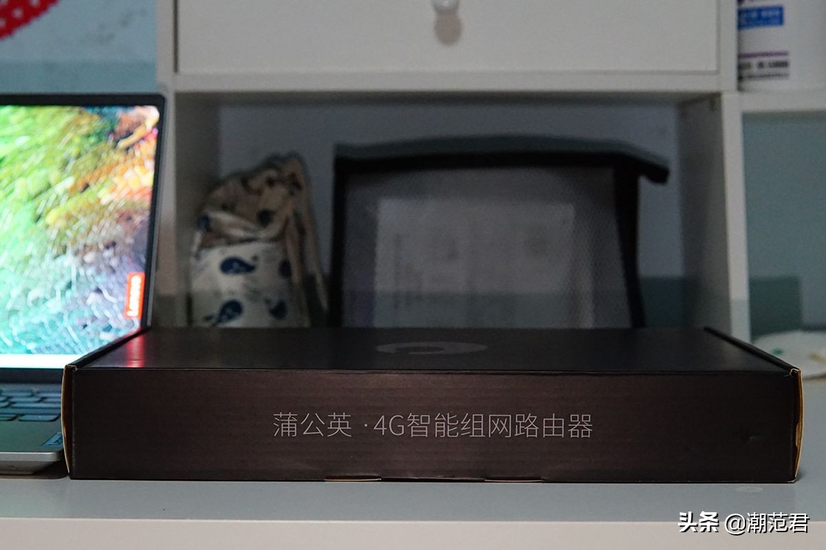 蒲公英4g路由器不支持电信卡,蒲公英4G路由器