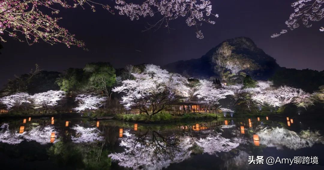 amy聊跨境电商,amy聊跨境靠谱吗