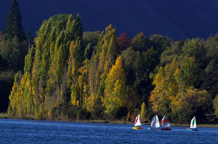 年薪39万还配备直升机通勤,年薪30万新西兰工作