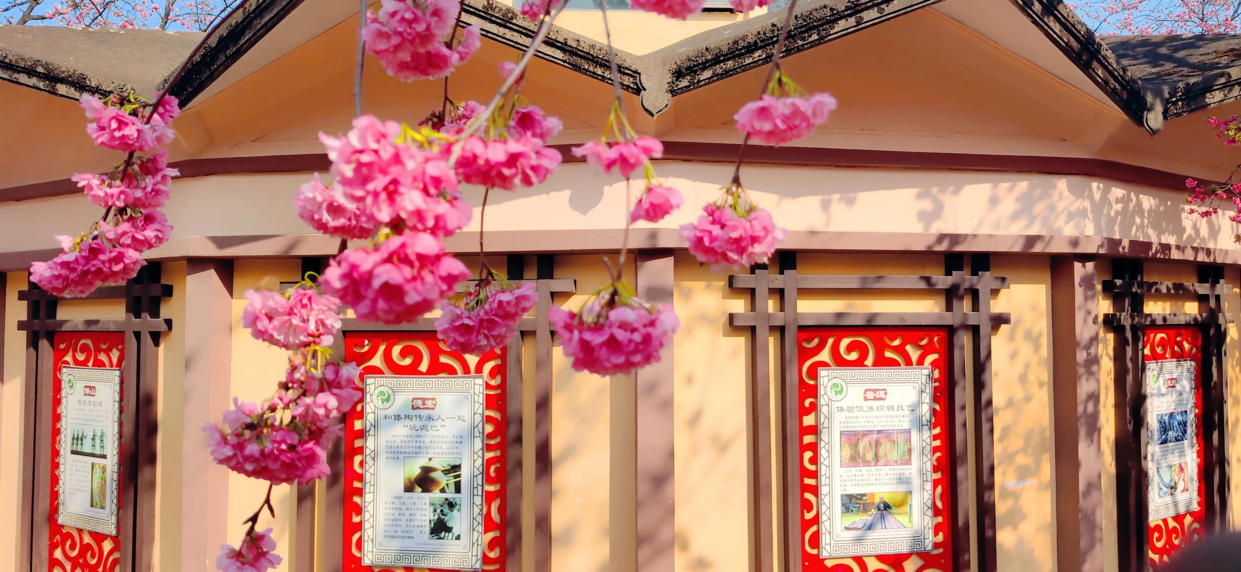 云南旅游攻略天气,云南旅游攻略6天5晚买一送一