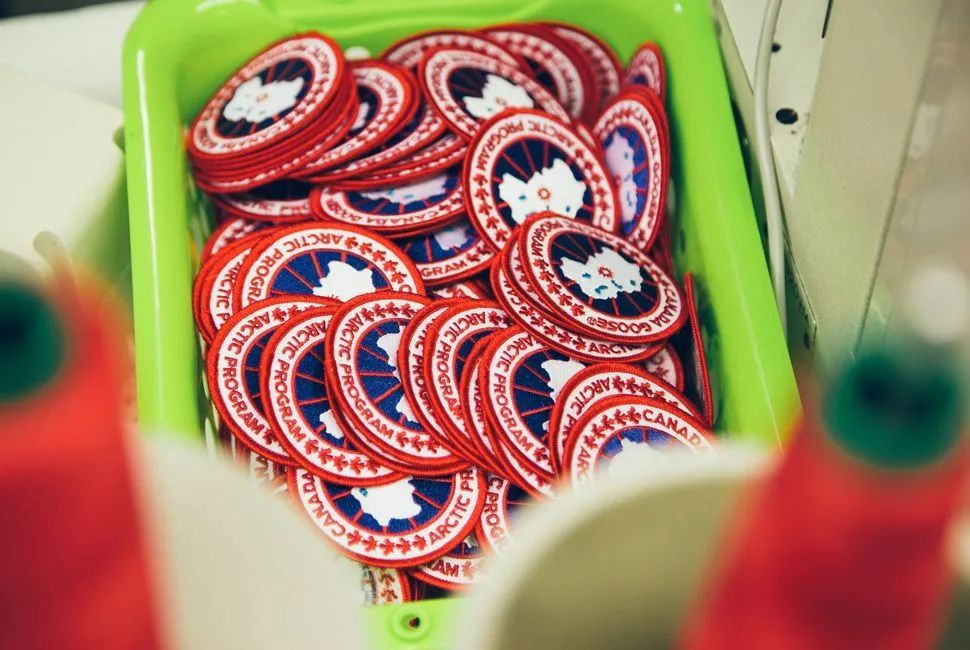 明星穿加拿大鹅都穿什么颜色,明星都爱穿的羊毛品牌