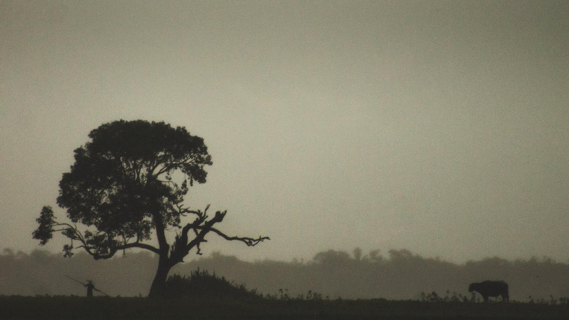 学习笔记2022-8-17