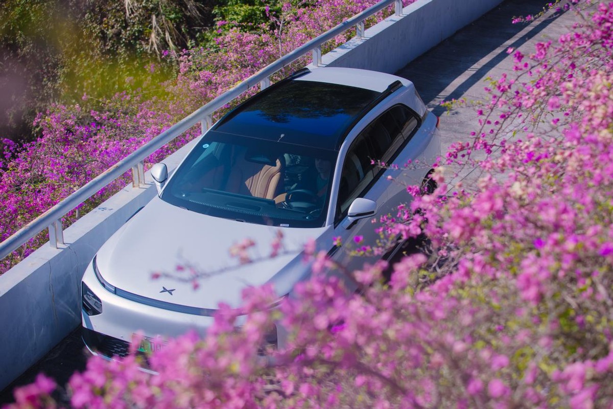 深圳初冬限定，“新伙伴”G9的花海首秀