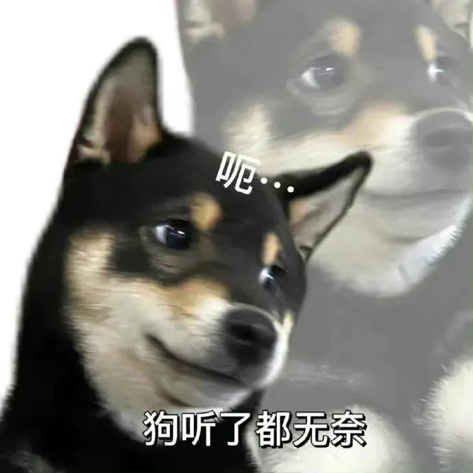 你能拿我怎样表情包自取,表情包你能拿我怎么样