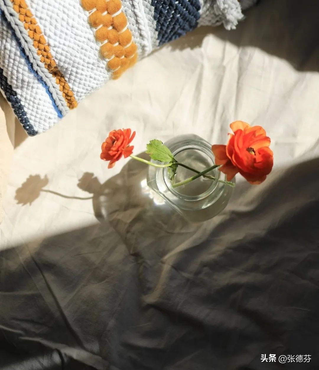 换了5个保姆,换了十多个保姆