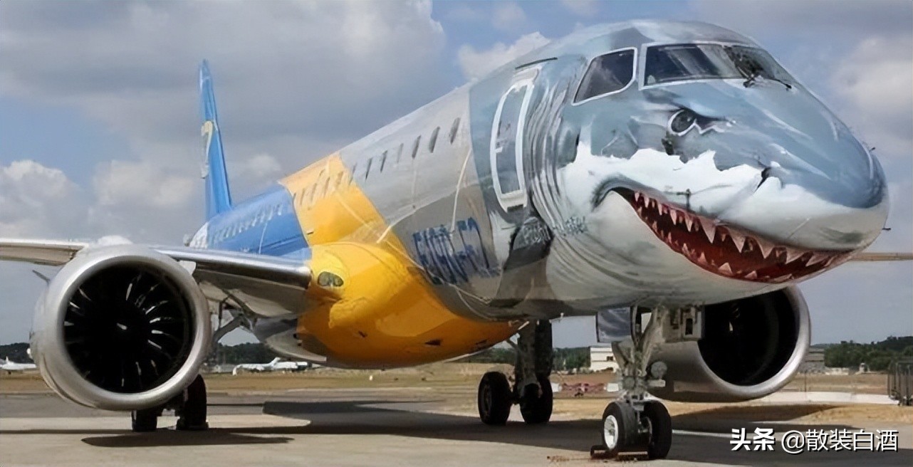 印度隐身战机涂装,世界各国不一样的战斗机涂装