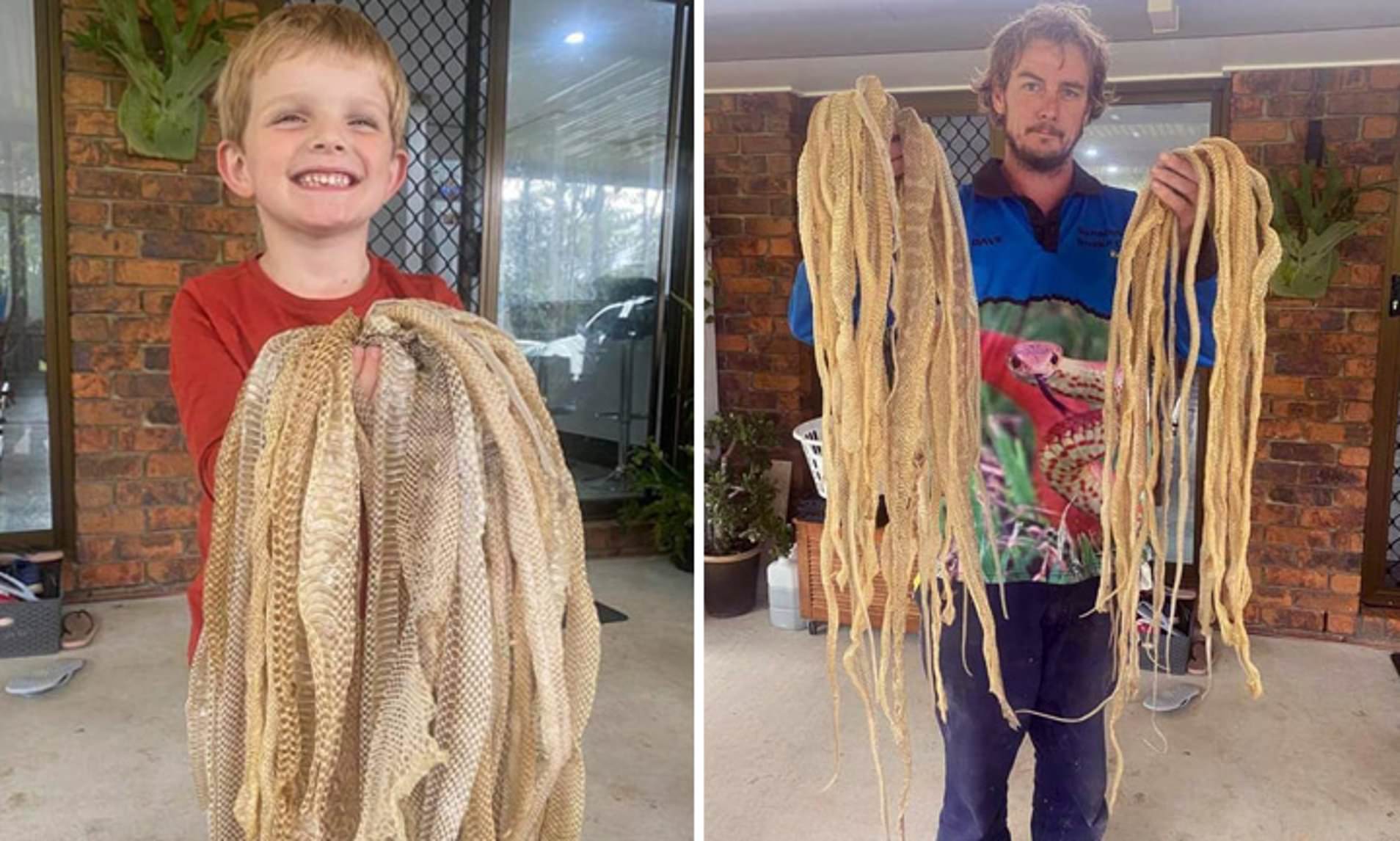 一男子发现蛇窝,挖蛇窝发现30条蛇