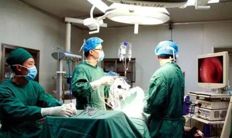 七旬阿婆体内有200多颗结石,七旬阿婆完全吃素体内都有结石