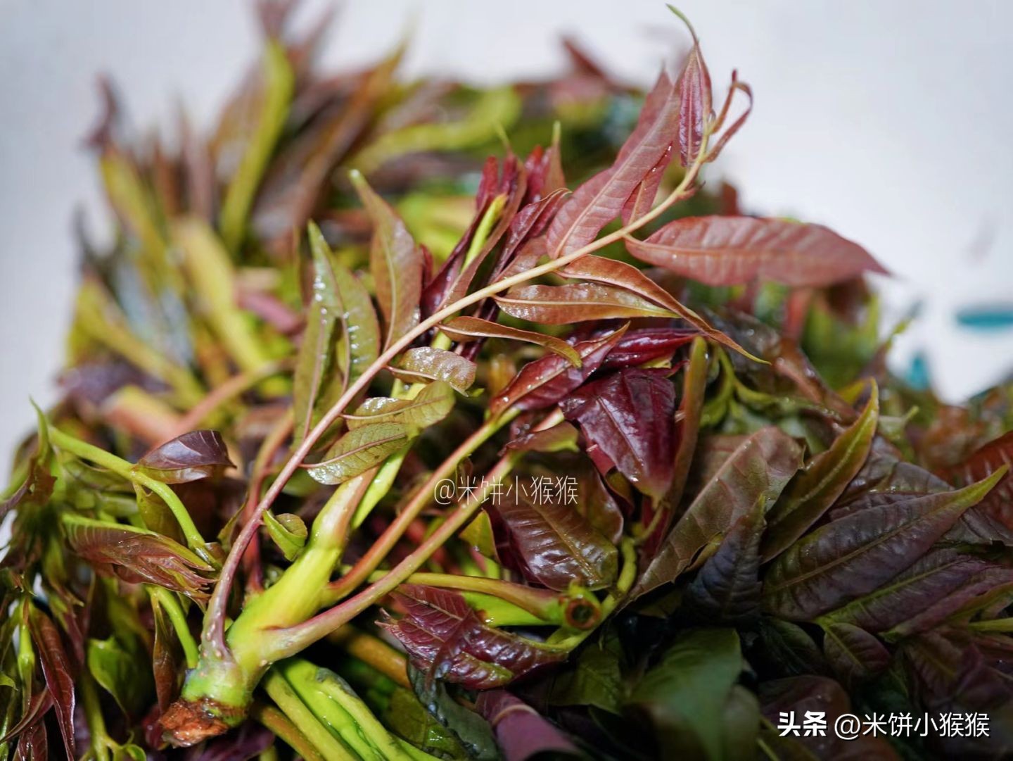 香椿炒鸡蛋是春天不可多得美食,香椿炒鸡蛋家常菜做法