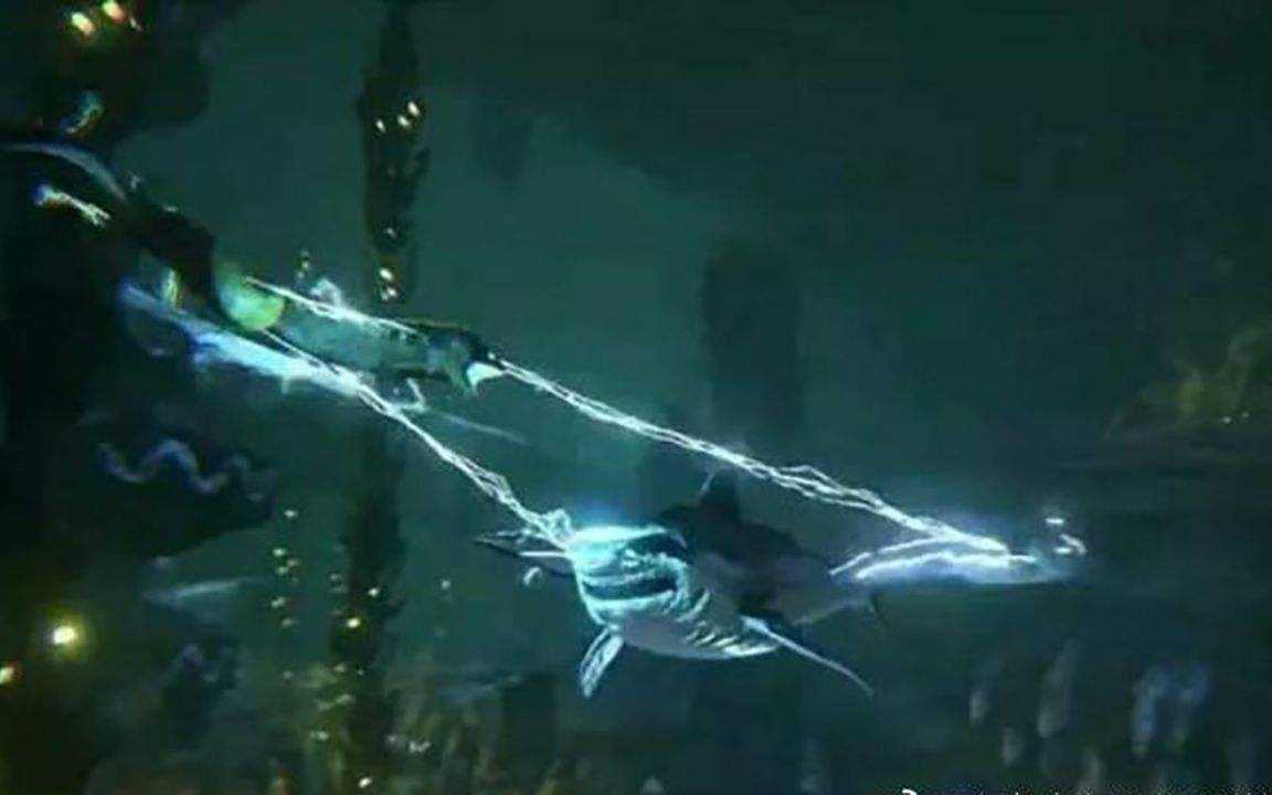 电鳗被称为水中高压线,海底高压线电鳗