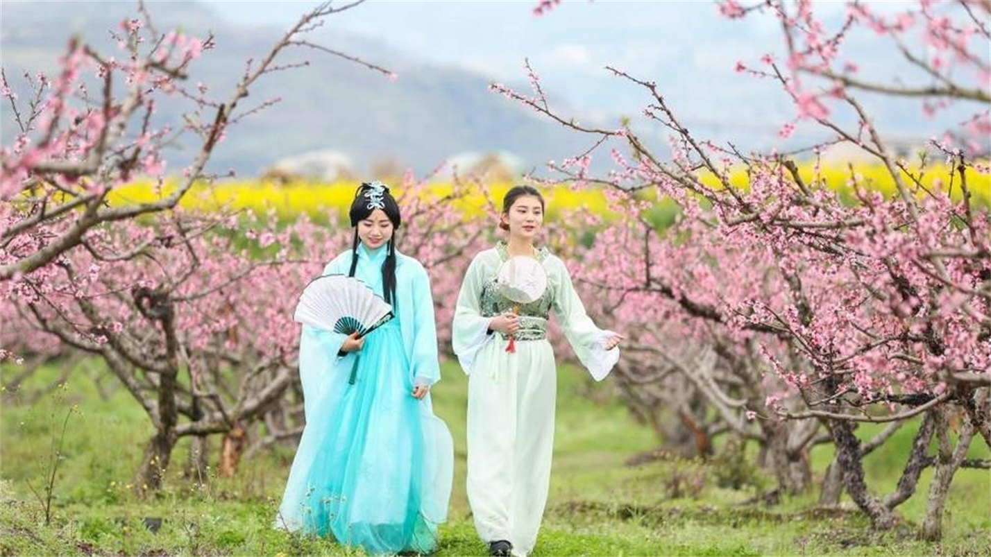 春情春思春景赏，春思春念春日长