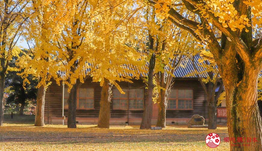 茨城旅行,茨城和茨城县