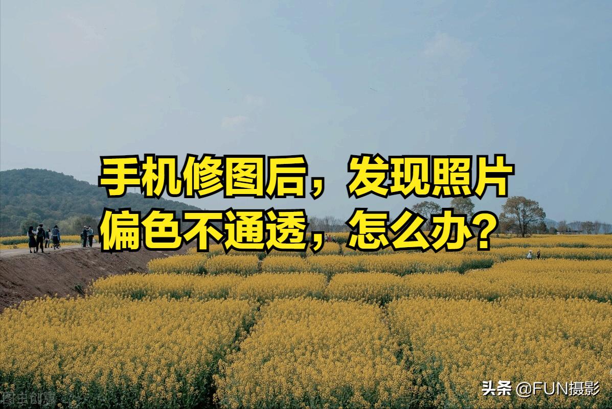 用手机修图有损画质,用手机修图让照片更清晰