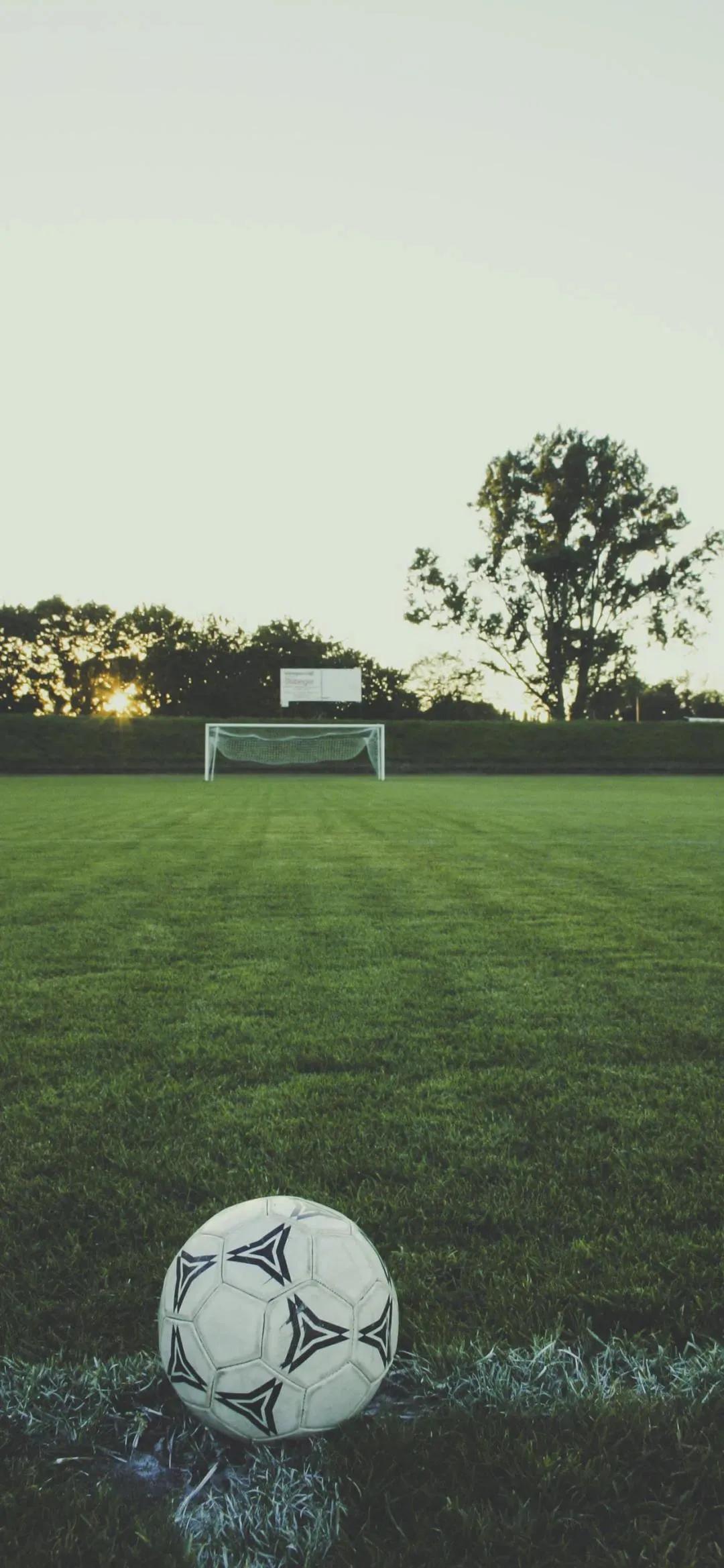 壁纸足球壁纸,绿茵场足球壁纸