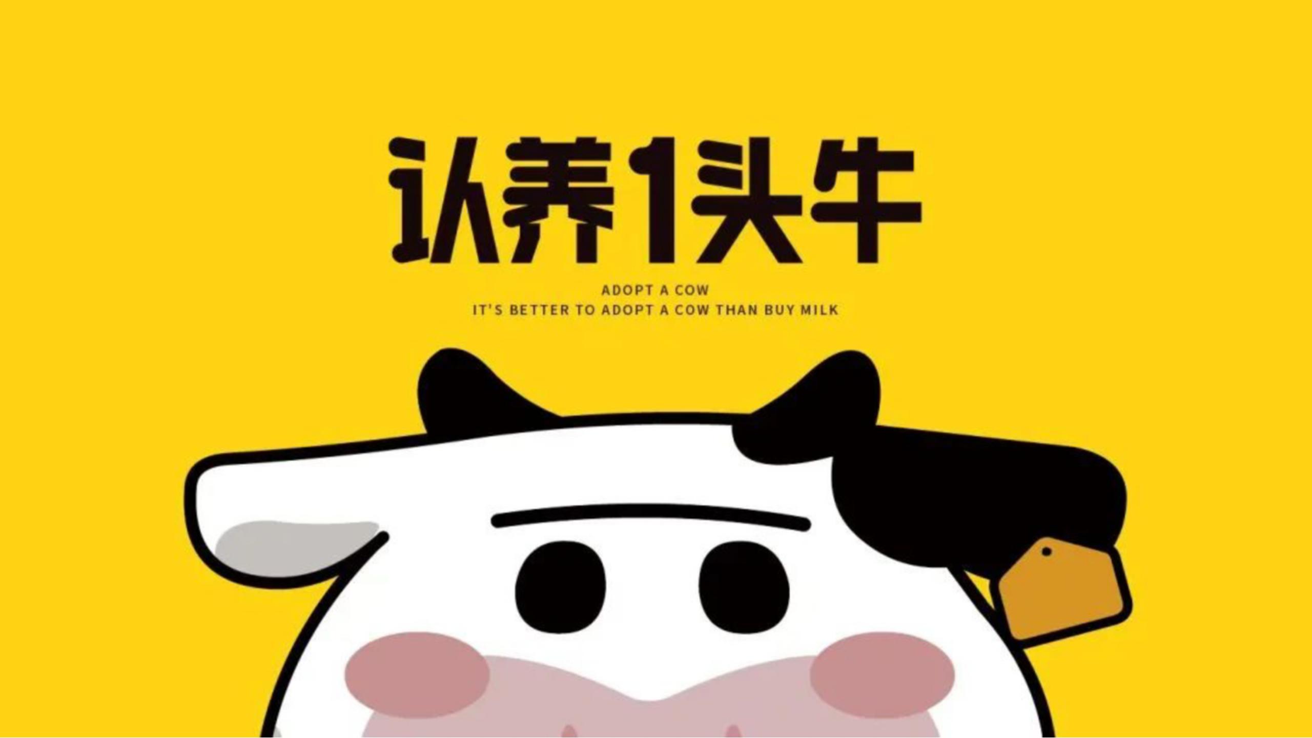 认养一头牛不同品类,认养一头牛品类的比较