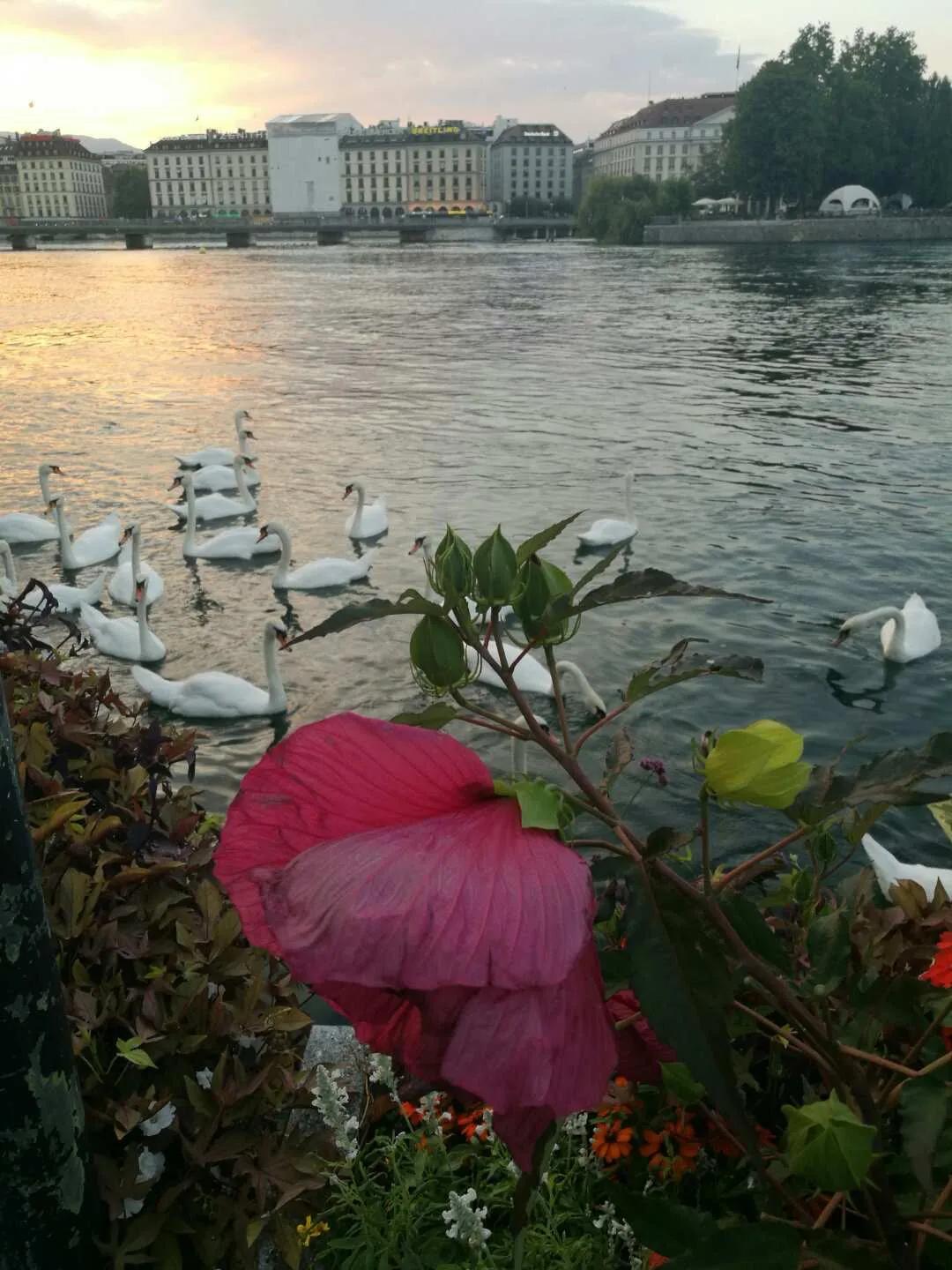 欧洲自由行慕尼黑,欧洲旅游自由行机票