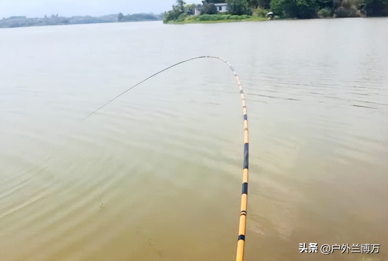 过来人奉劝你，对并继竿要求过高，最好别买