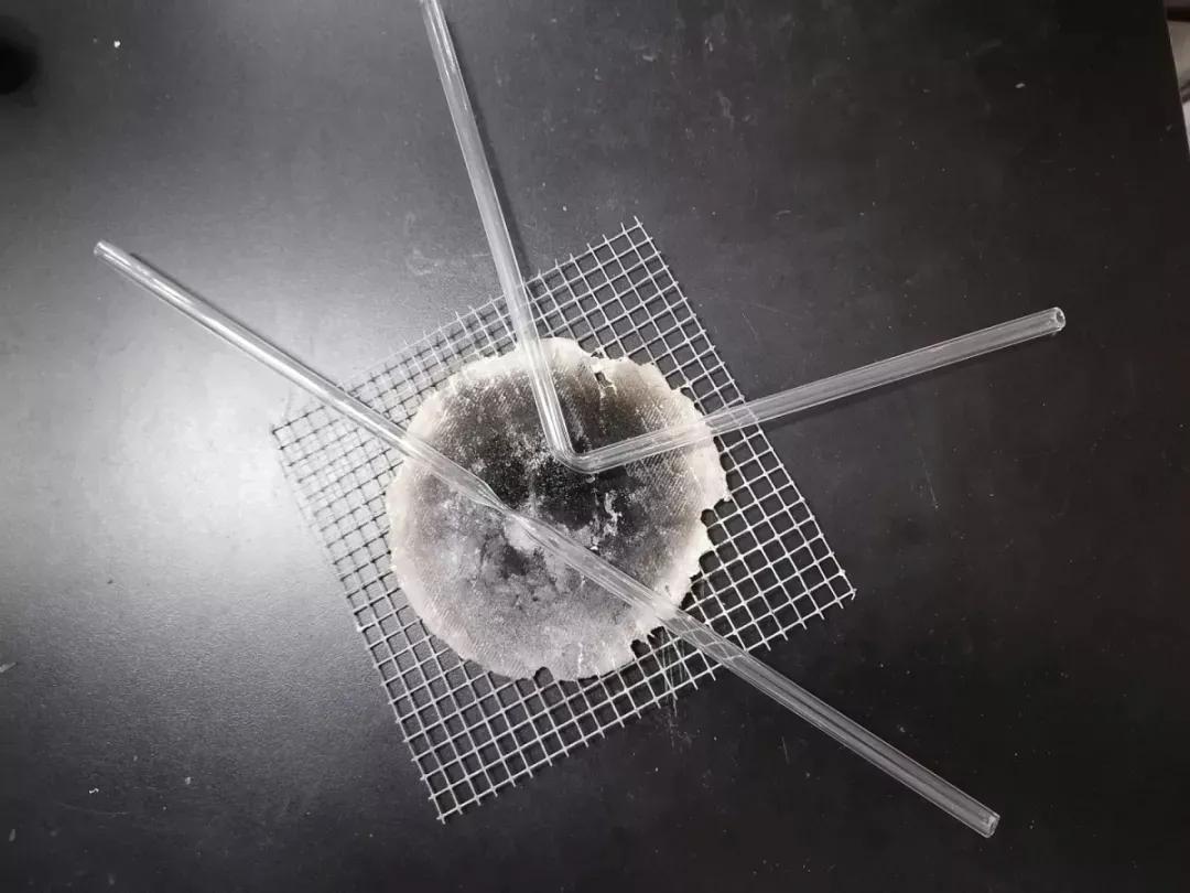 你完了你坠入爱河啦翻译,你完了你坠入爱河了图片