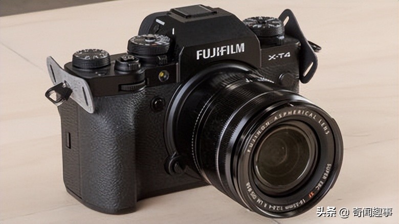 动物拍照最好的相机,哪种相机适合拍摄动物