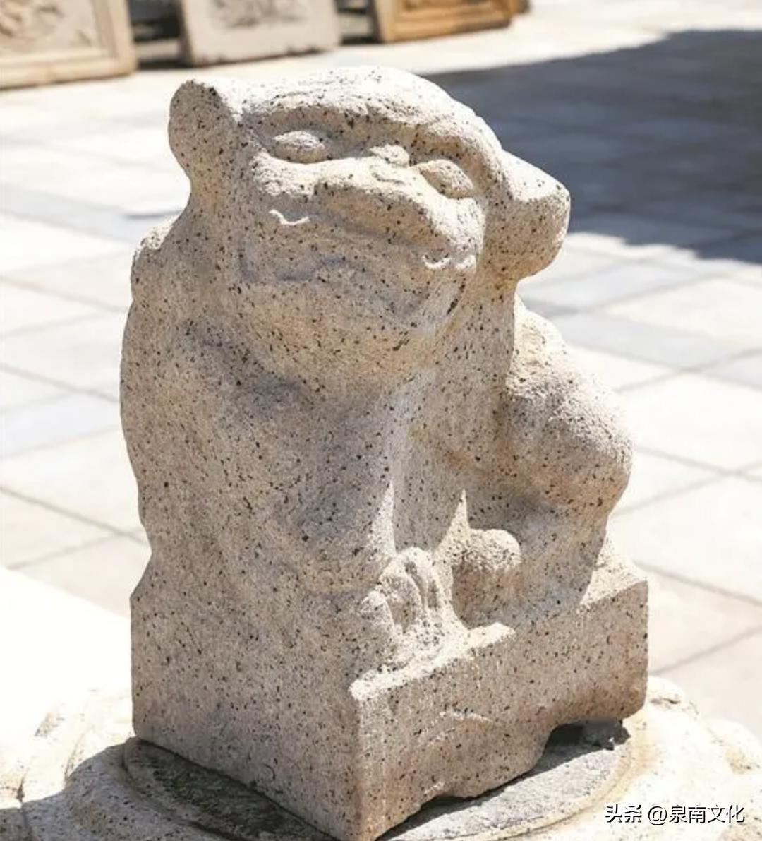 关于狮子的科普解说,讲解狮子纪录片