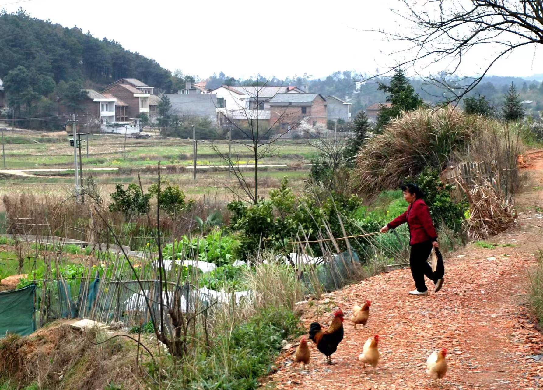 在深圳租一套二手房多少钱,本人在深圳买二手房