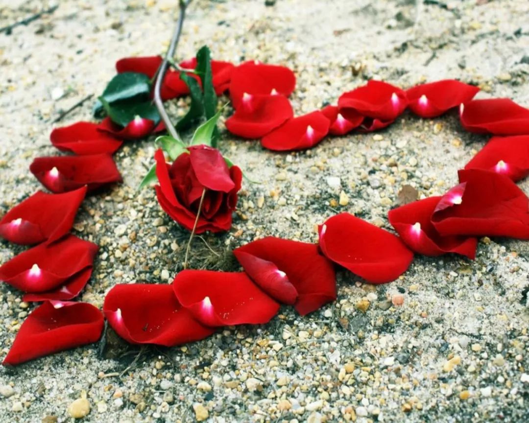 520致我爱的人和爱我的人,520致对我最在乎的人