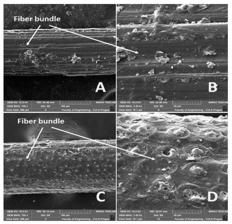 碱化处理之后，椰壳纤维和蕉麻纤维的拉抗强度是否会提升？