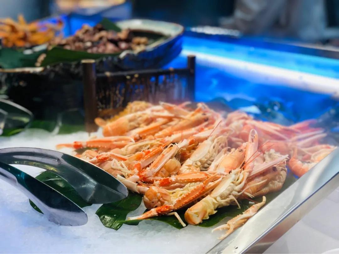 楂樼骇娴烽矞鑷姪椴嶉奔鎺㈠簵,娴烽矞鑷姪椴嶉奔鎺㈠簵