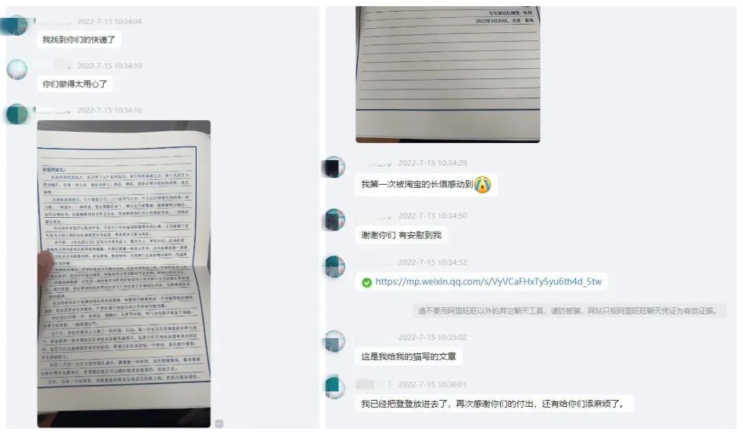 毛毛宠城堡新宠:登登|写给我的小猫咪