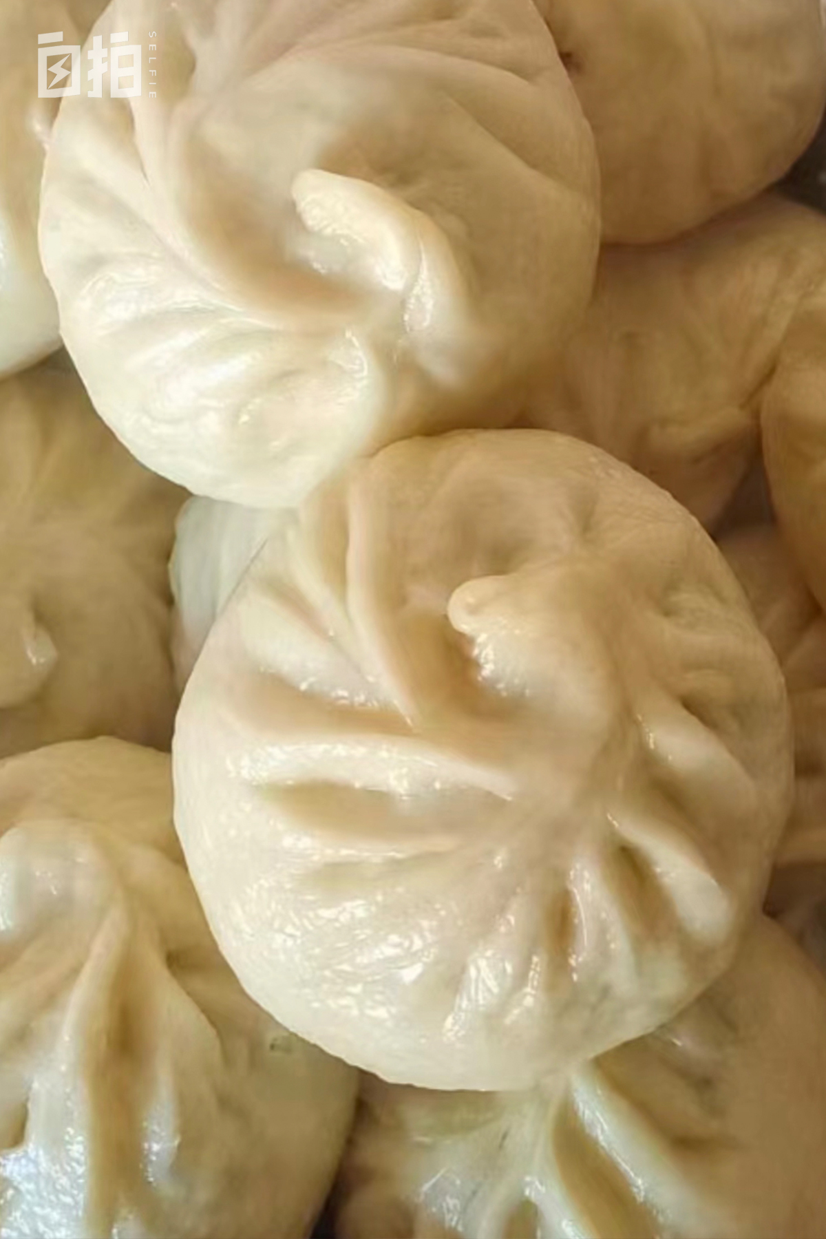 我，31岁离婚，拒绝被*养包**，去法国打工，靠自己改变全家命运