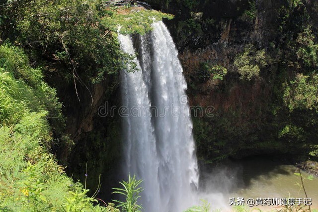茯苓治失眠偏方大全,一味茯苓治失眠