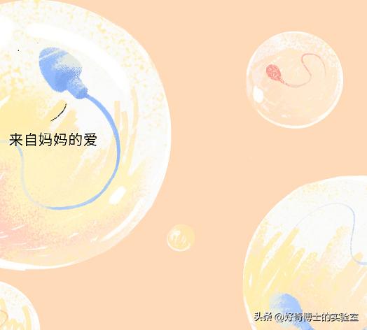 精子进入人体1小时变化,精子进入人体24小时变化