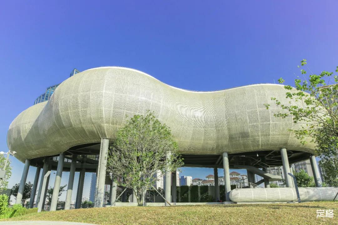 雨林打卡网红地滑梯,深圳莲花山滑梯