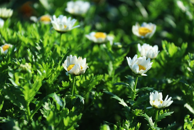 大姨妈来了能肛检吗,大姨