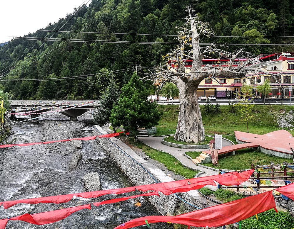 西部大草原旅游攻略,四川红原大草原自驾旅游攻略