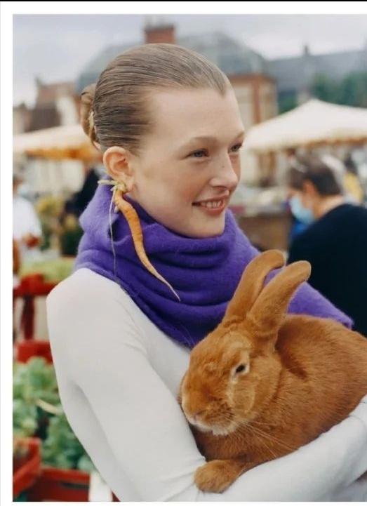 长春花蓝搭配哪些颜色好看,2022流行色长春花蓝红绿蓝比例