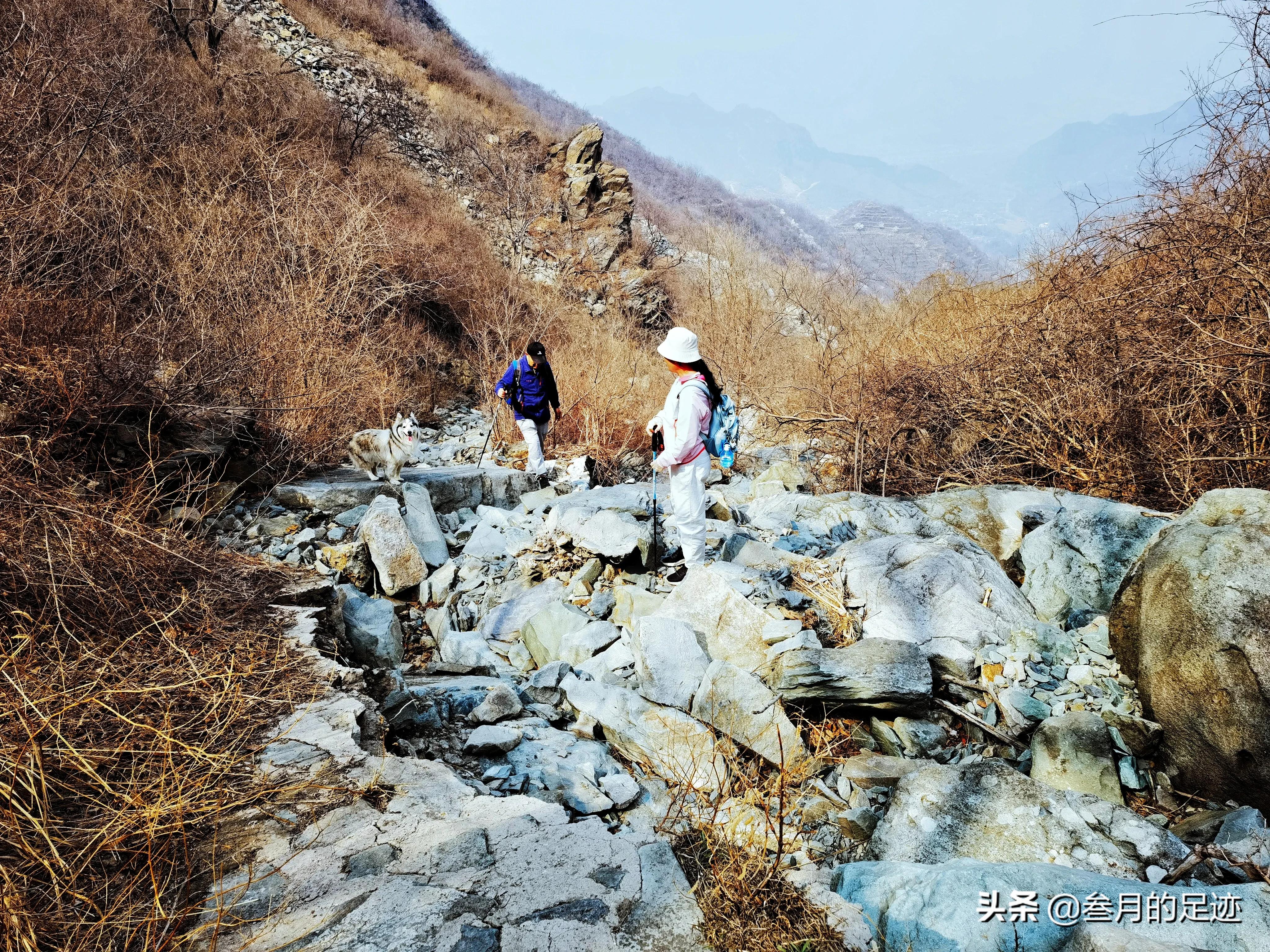 房山良乡踏春,最新房山踏春