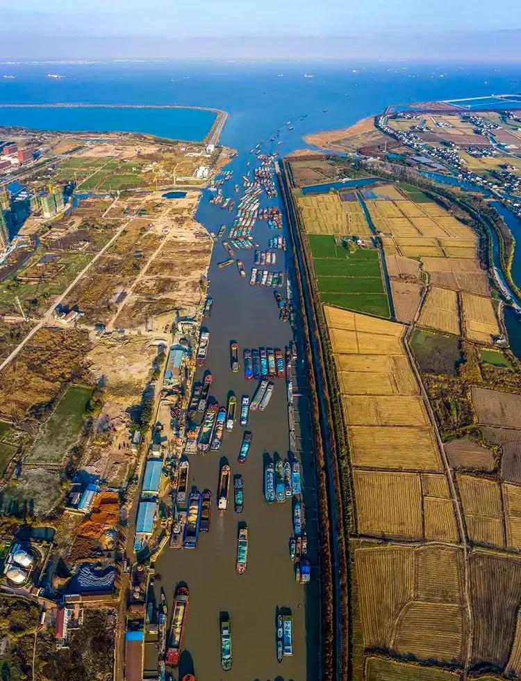 太仓浏家港视频,太仓浏河刘家巷