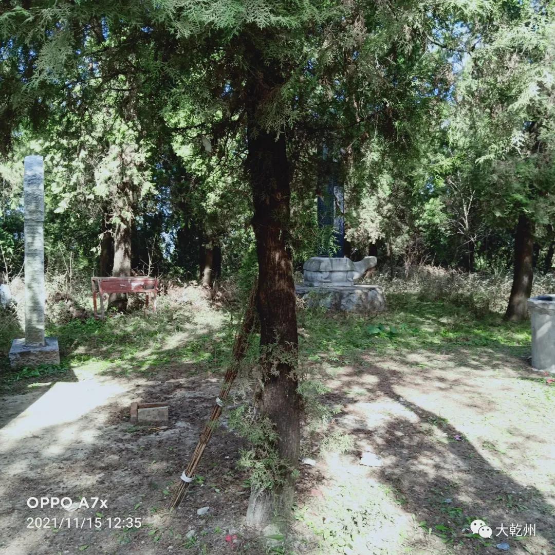 我的黄土地,我的黄土地歌词完整版