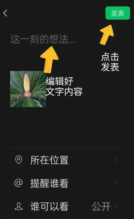 微信朋友圈怎么打开使用,微信朋友圈使用技巧大全图解