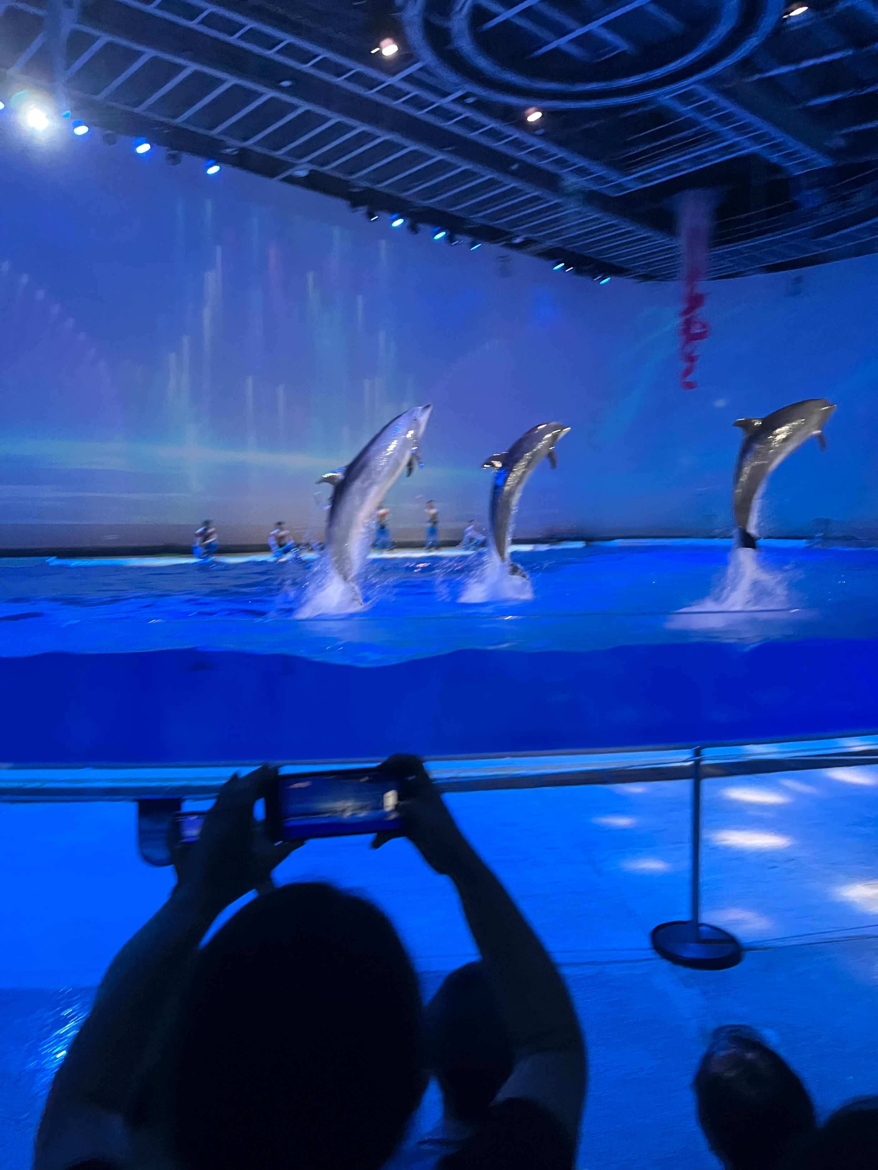 奥特曼主题馆上海海昌游玩攻略,日本奥特曼主题公园旅游