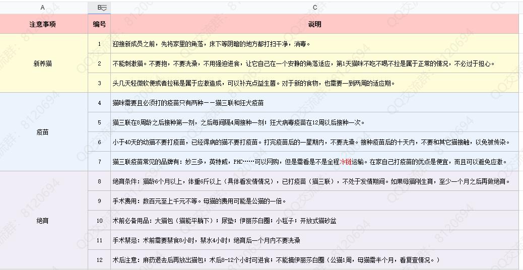 猫咪养什么品种最有性价比,养猫必备45条知识