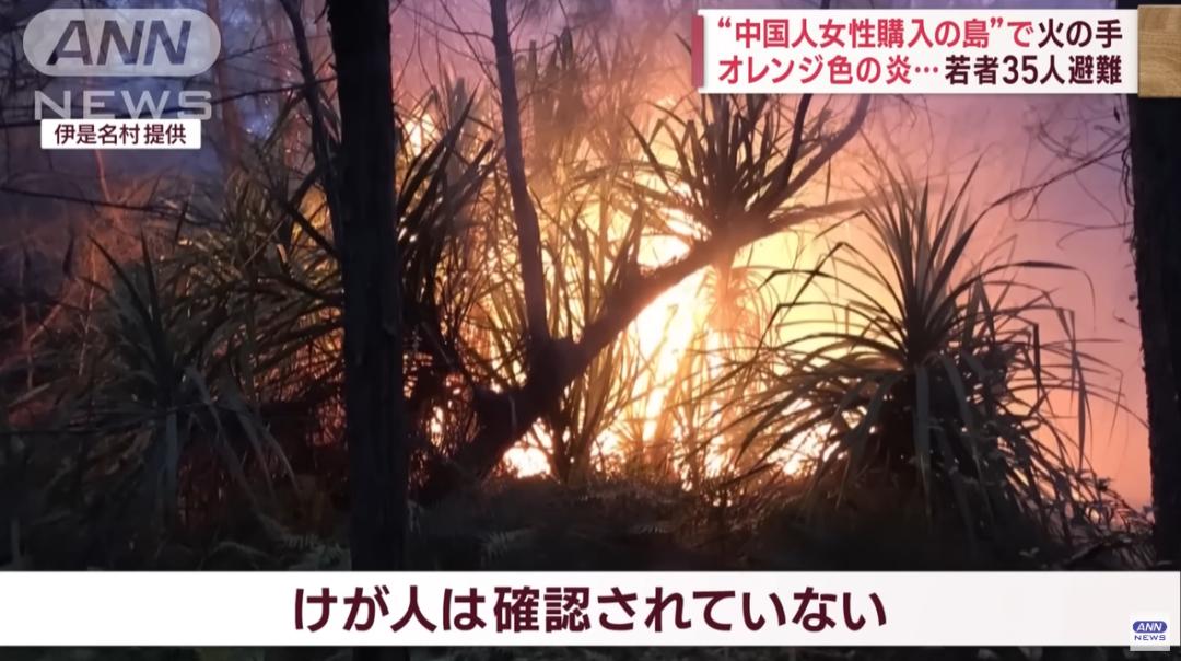 中国女子购买的日本无人岛突发火灾！是天灾还是*祸人**？